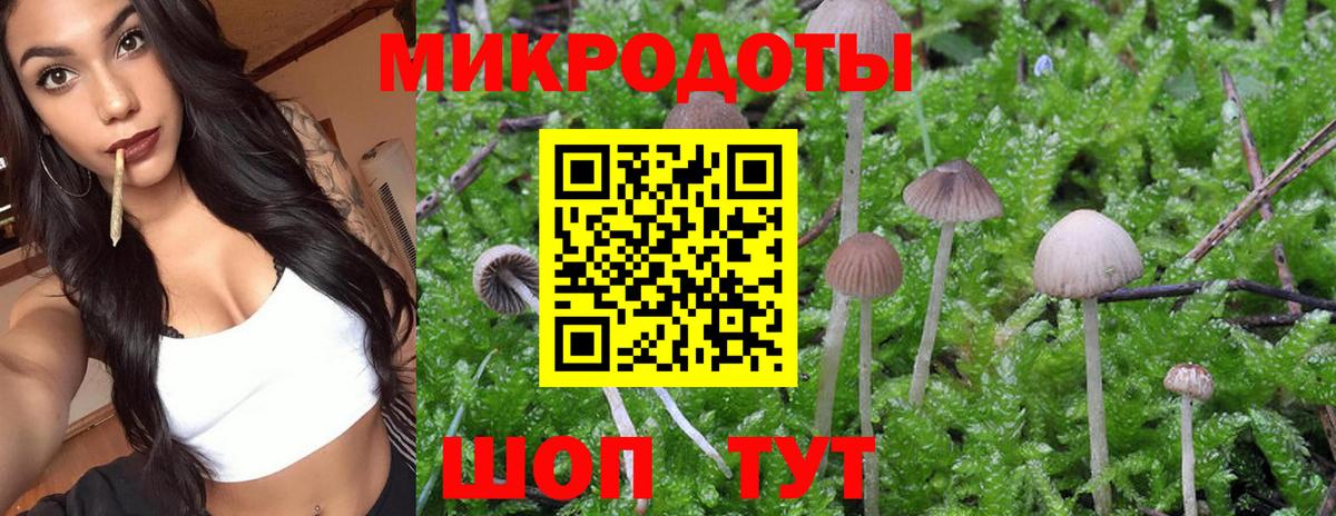 Псилоцибиновые грибы Magic Shrooms Чусовой